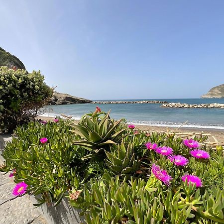 Casa Francesco Seaside Apartment Sant'Angelo  Exterior foto