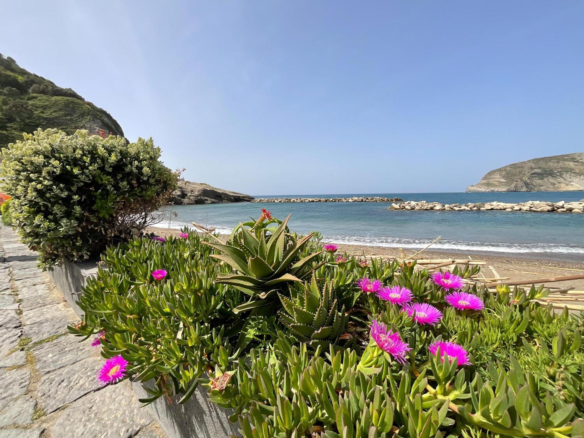 Casa Francesco Seaside Apartment Sant'Angelo  Exterior foto